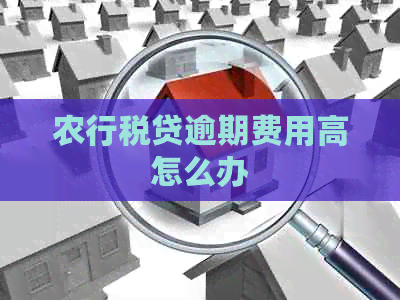 农行税贷逾期费用高怎么办