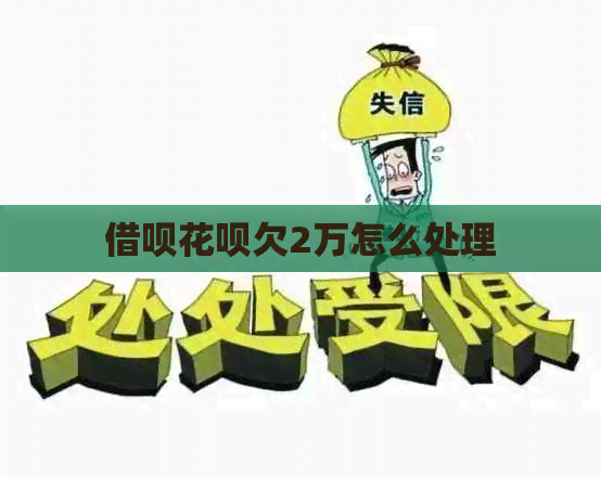 信用卡白条欠2万怎么处理