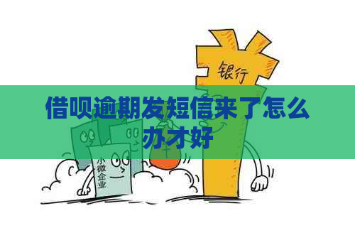 信用卡逾期发短信来了怎么办才好
