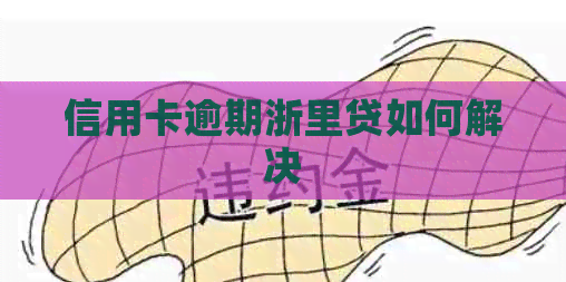 信用卡逾期浙里贷如何解决
