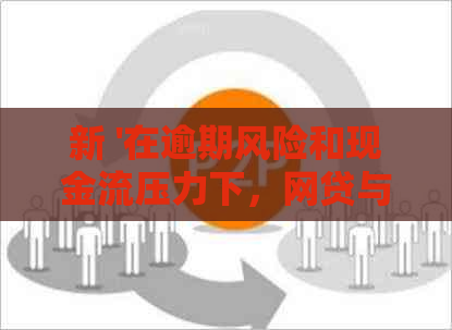 新 '在逾期风险和现金流压力下，网贷与信用卡还款策略的深度分析'