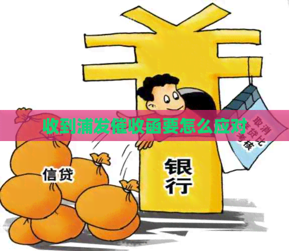 收到浦发函要怎么应对