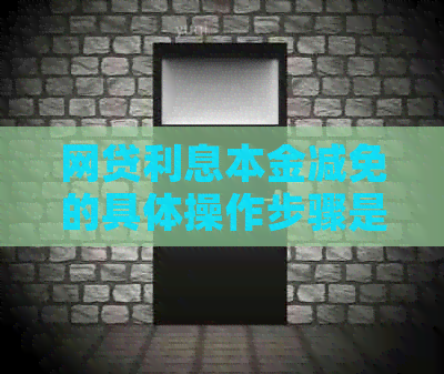 网贷利息本金减免的具体操作步骤是什么