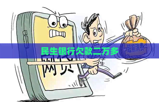 民生银行欠款二万多