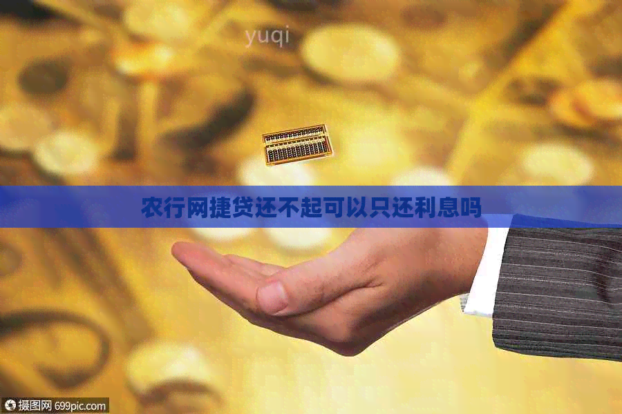 农行网捷贷还不起可以只还利息吗