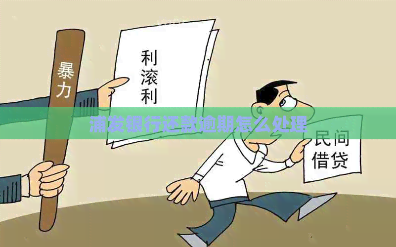 浦发银行还款逾期怎么处理