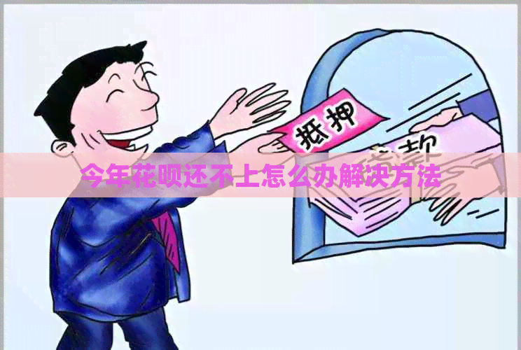 今年白条还不上怎么办解决方法