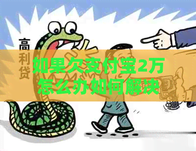 如果欠信用卡2万怎么办如何解决