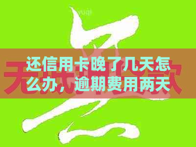 还信用卡晚了几天怎么办，逾期费用两天处理方式