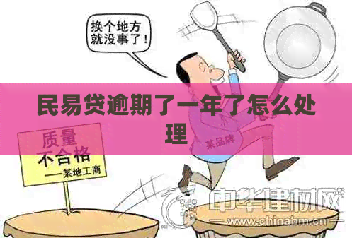 民易贷逾期了一年了怎么处理