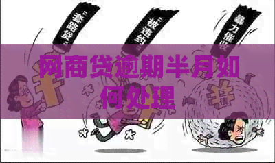 白条贷逾期半月如何处理
