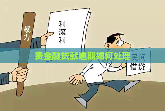 费金融贷款逾期如何处理