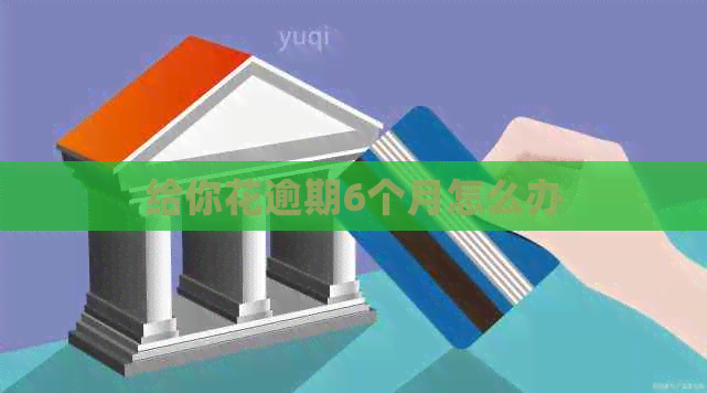 给你花逾期6个月怎么办
