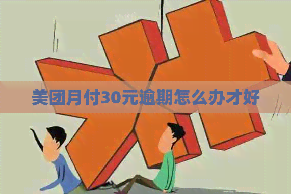 美团月付30元逾期怎么办才好