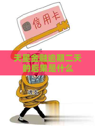 天星金融逾期二天的后果是什么 天星金融逾期二天的后果是什么