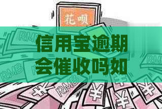 信用宝逾期会吗如何处理逾期情况