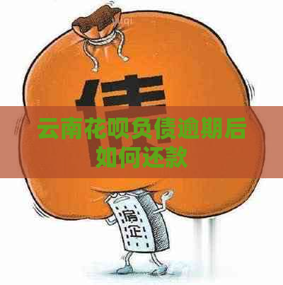 云南花呗负债逾期后如何还款