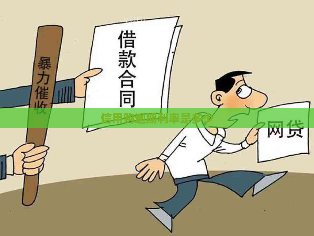 信用购逾期利率是多少