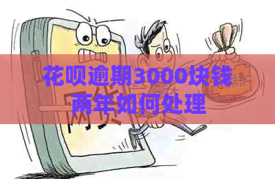 白条逾期3000块钱两年如何处理