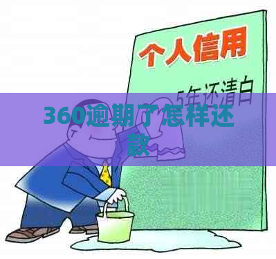 360逾期了怎样还款