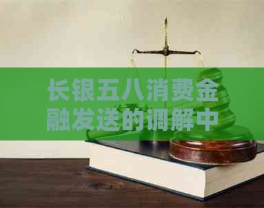 长银五八消费金融发送的调解中心