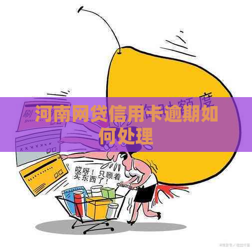 河南网贷信用卡逾期如何处理