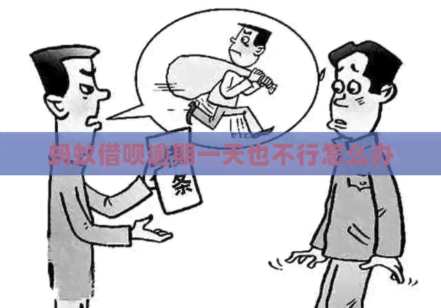 蚂蚁信用卡逾期一天也不行怎么办