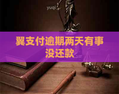 翼支付逾期两天有事没还款