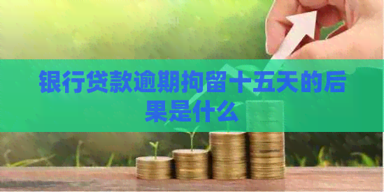 银行贷款逾期拘留十五天的后果是什么