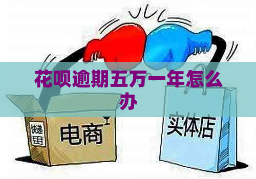花呗逾期五万一年怎么办