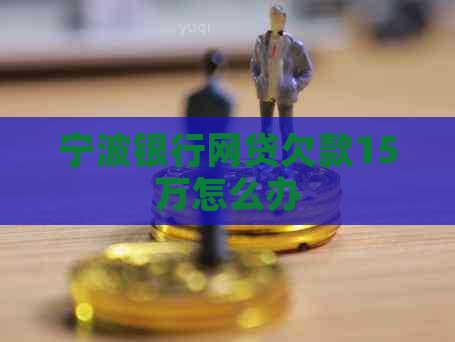 宁波银行网贷欠款15万怎么办