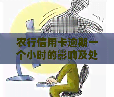 农行信用卡逾期一个小时的影响及处理方法