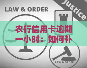 农行信用卡逾期一小时：如何补救、罚息计算及可能的影响