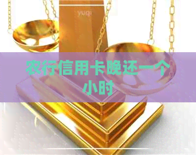 农行信用卡晚还一个小时