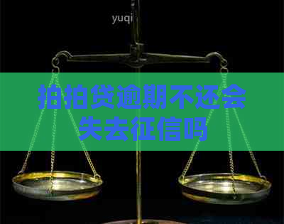 逾期不还会失去吗