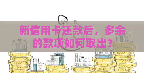新信用卡还款后，多余的款项如何取出？