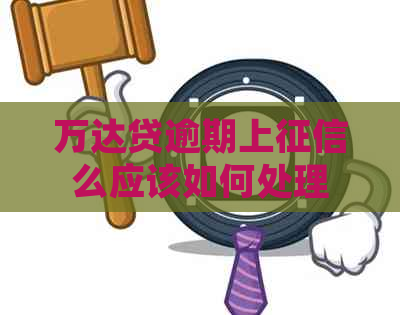 万达贷逾期上么应该如何处理