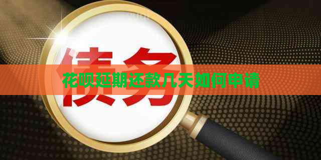 白条延期还款几天如何申请