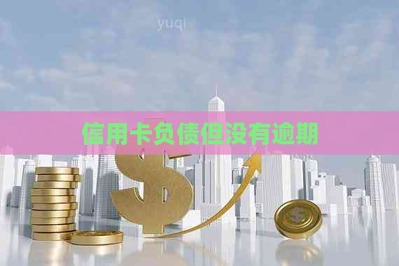 信用卡负债但没有逾期 信用卡负债但没有逾期