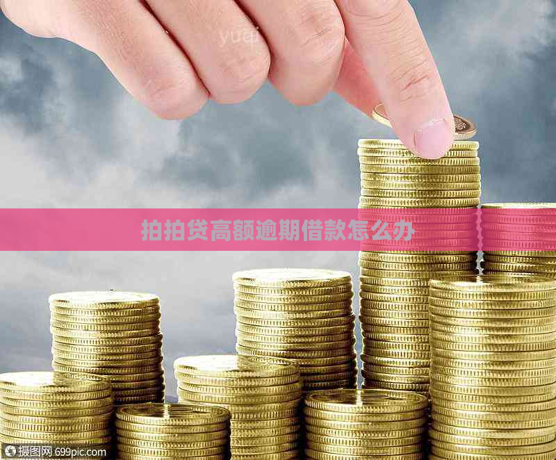 高额逾期借款怎么办