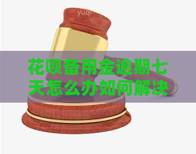 白条备用金逾期七天怎么办如何解决
