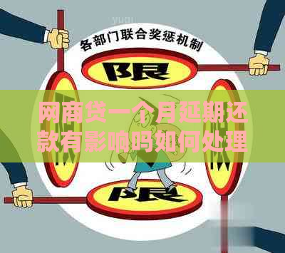 白条贷一个月延期还款有影响吗如何处理