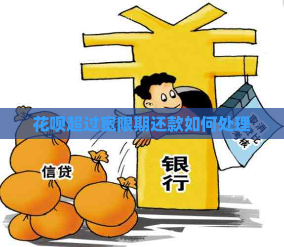 白条超过宽限期还款如何处理