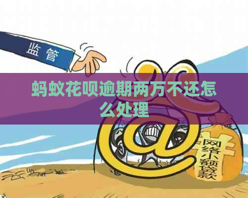 蚂蚁白条逾期两万不还怎么处理