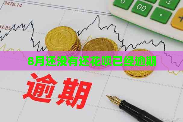 8月还没有还白条已经逾期