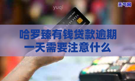 哈罗臻有钱贷款逾期一天需要注意什么