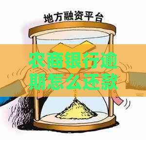 农商银行逾期怎么还款可以分期吗