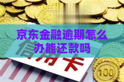 京东金融逾期怎么办能还款吗
