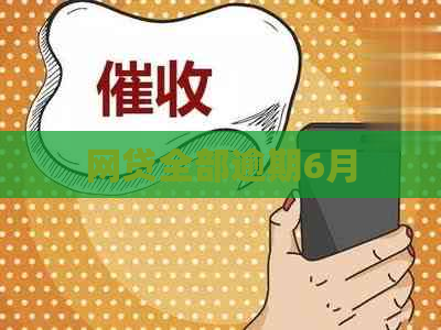 网贷全部逾期6月