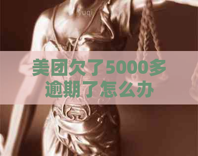 美团欠了5000多逾期了怎么办